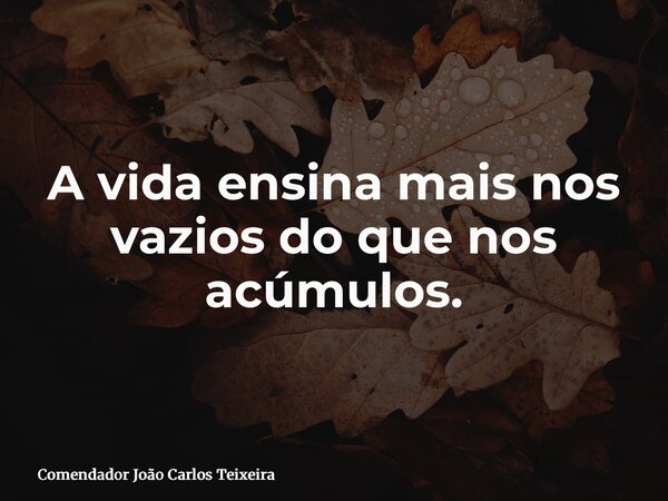 A vida ensina mais nos vazios do que nos acúmulos.... Frase de Comendador João Carlos Teixeira.