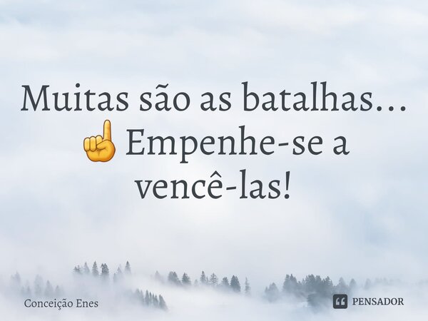 ⁠Muitas são as batalhas... ☝️Empenhe-se a vencê-las!... Frase de Conceição Enes.