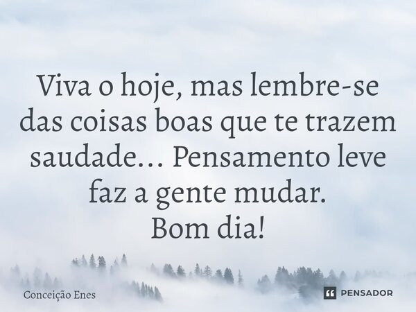 ⁠Viva o hoje, mas lembre-se das coisas boas que te trazem saudade... Pensamento leve faz a gente mudar. Bom dia!... Frase de Conceição Enes.