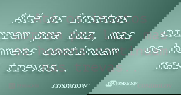 Até os insetos correm pra luz, mas os homens continuam nas trevas..... Frase de Condiolov.