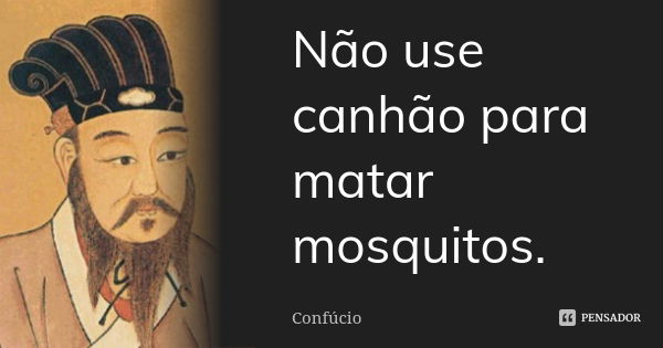 Não use canhão para matar mosquitos.... Frase de Confúcio.