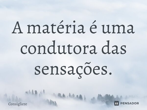⁠A matéria é uma condutora das sensações.... Frase de Consigliere.