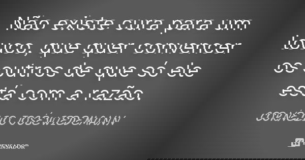 Não existe cura para um louco, que quer convencer os outros de que só ele está com a razão.... Frase de CORNÉLIO JOSÉ WIEDEMANN.