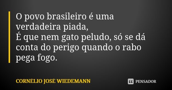 O povo brasileiro é uma verdadeira piada,
É que nem gato peludo, só se dá conta do perigo quando o rabo pega fogo.... Frase de Cornélio José Wiedemann.