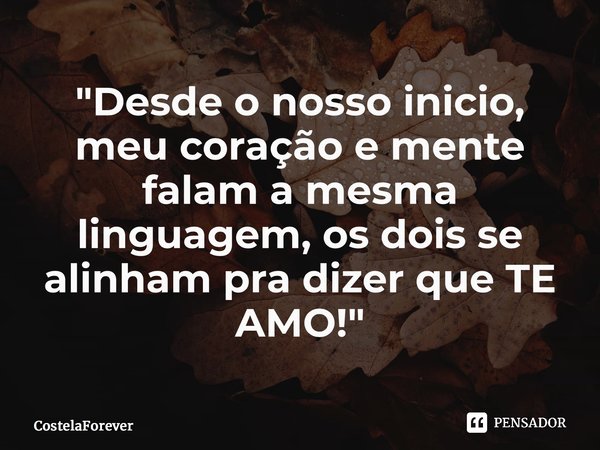 "⁠Desde o nosso inicio, meu coração e mente falam a mesma linguagem, os dois se alinham pra dizer que TE AMO!"... Frase de CostelaForever.