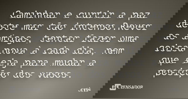 Caminhar e curtir a paz deste mar tão intenso.Rever as amigas, tentar fazer uma coisa nova à cada dia, nem que seja para mudar a posição dos vasos.... Frase de Cris.