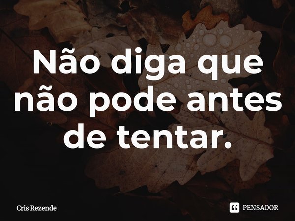 ⁠Não diga que não pode antes de tentar.... Frase de Cris Rezende.