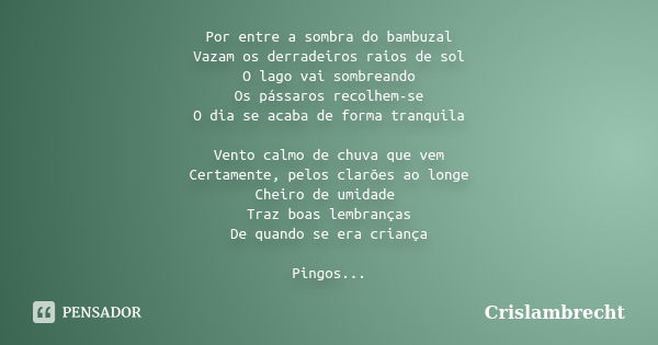 Por entre a sombra do bambuzal Vazam os derradeiros raios de sol O lago vai sombreando Os pássaros recolhem-se O dia se acaba de forma tranquila Vento calmo de ... Frase de Crislambrecht.