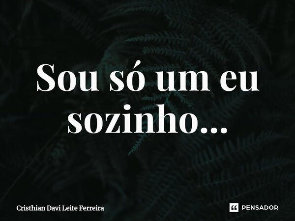 ⁠Sou só um eu sozinho...... Frase de Cristhian Davi Leite Ferreira.