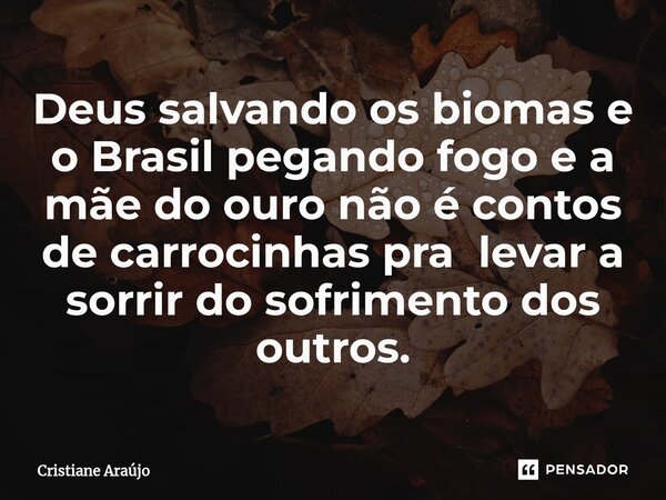 ⁠Deus salvando os biomas e o Brasil pegando fogo e a mãe do ouro não é contos de carrocinhas pra levar a sorrir do sofrimento dos outros.... Frase de Cristiane Araujo.