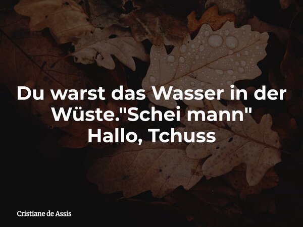 Du warst das Wasser in der Wüste. "Schei mann" Hallo, Tchuss... Frase de Cristiane de Assis.