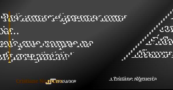 Pois amar é apenas uma coisa... É floreio que rompe na fissura do precipício!... Frase de Cristiane Nogueira.