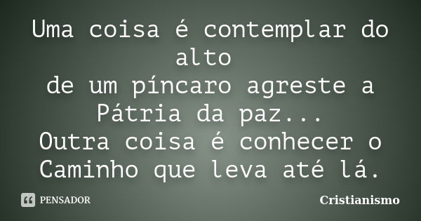 Uma coisa é contemplar do alto de um píncaro agreste a Pátria da paz... Outra coisa é conhecer o Caminho que leva até lá.... Frase de Cristianismo.