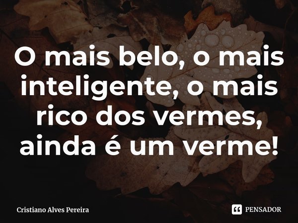⁠O mais belo, o mais inteligente, o mais rico dos vermes, ainda é um verme!... Frase de Cristiano Alves Pereira.