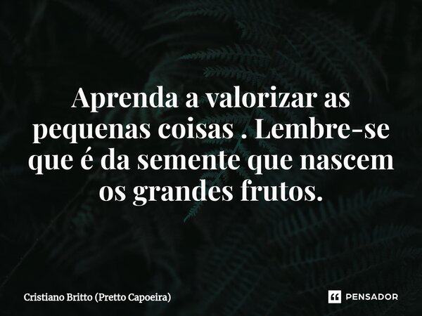 Aprenda a valorizar as pequenas coisas . Lembre-se que é da semente que nascem os grandes frutos.... Frase de Cristiano Britto (Pretto Capoeira).