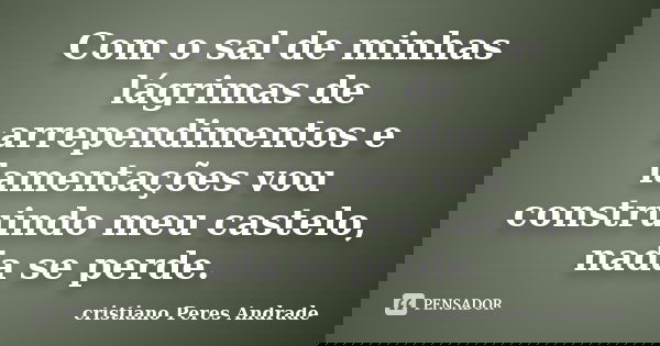 Com o sal de minhas lágrimas de arrependimentos e lamentações vou construindo meu castelo, nada se perde.... Frase de Cristiano Peres Andrade.