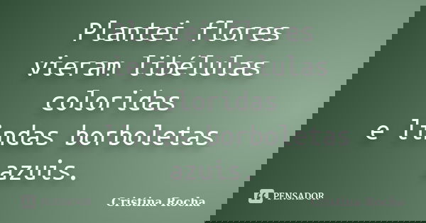 Plantei flores vieram libélulas coloridas e lindas borboletas azuis.... Frase de Cristina Rocha.