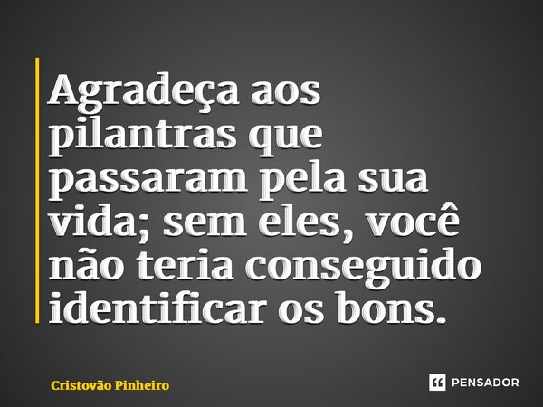 ⁠Agradeça aos pilantras que passaram pela sua vida; sem eles, você não teria conseguido identificar os bons.... Frase de Cristovão Pinheiro.