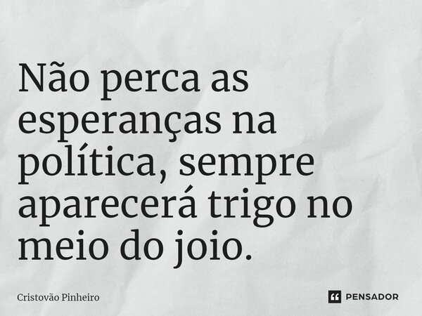 ⁠Não perca as esperanças na política, sempre aparecerá trigo no meio do joio.... Frase de Cristovão Pinheiro.