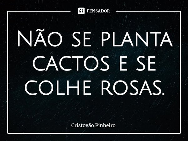 ⁠Não se planta cactos e se colhe rosas.... Frase de Cristovão Pinheiro.