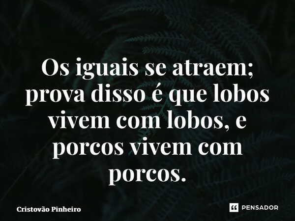 ⁠Os iguais se atraem; prova disso é que lobos vivem com lobos, e porcos vivem com porcos.... Frase de Cristovão Pinheiro.