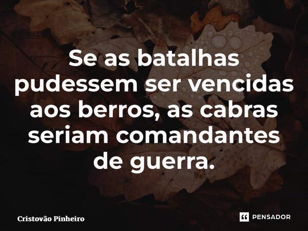 ⁠Se as batalhas pudessem ser vencidas aos berros, as cabras seriam comandantes de guerra.... Frase de Cristovão Pinheiro.