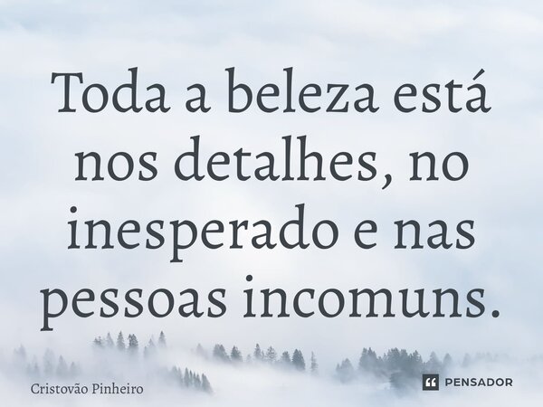 ⁠Toda a beleza está nos detalhes, no inesperado e nas pessoas incomuns.... Frase de Cristovão Pinheiro.