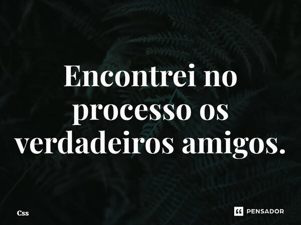 ⁠Encontrei no processo os verdadeiros amigos.... Frase de CSS.