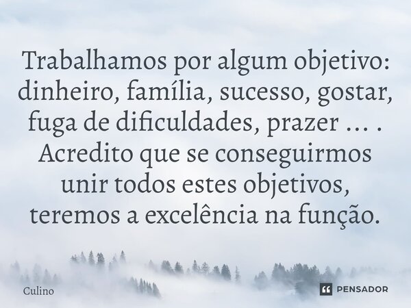 ⁠Trabalhamos por algum objetivo: dinheiro, família, sucesso, gostar, fuga de dificuldades, prazer ... . Acredito que se conseguirmos unir todos estes objetivos,... Frase de Culino.