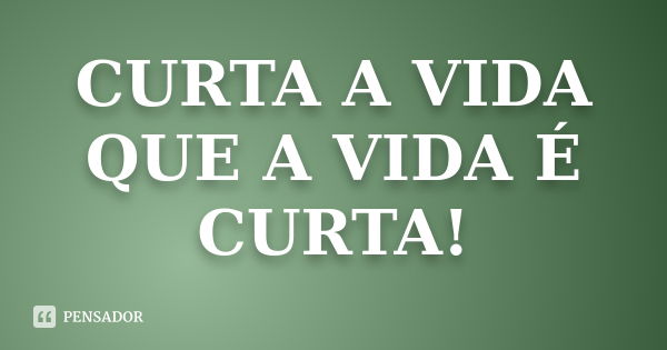 CURTA A VIDA QUE A VIDA É CURTA!