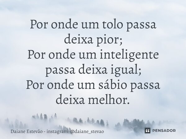 ⁠Por onde um tolo passa deixa pior; Por onde um inteligente passadeixa igual; Por onde um sábio passa deixa melhor.... Frase de Daiane Estevão - Instagram: daiane_stevao.