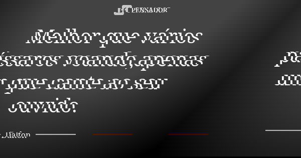 Melhor que vários pássaros voando,apenas um que cante ao seu ouvido.... Frase de Dalton.