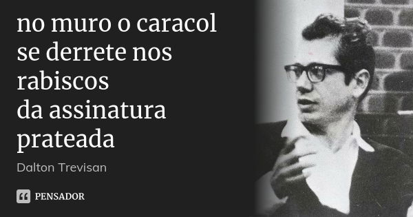 no muro o caracol
se derrete nos rabiscos
da assinatura prateada... Frase de Dalton Trevisan.