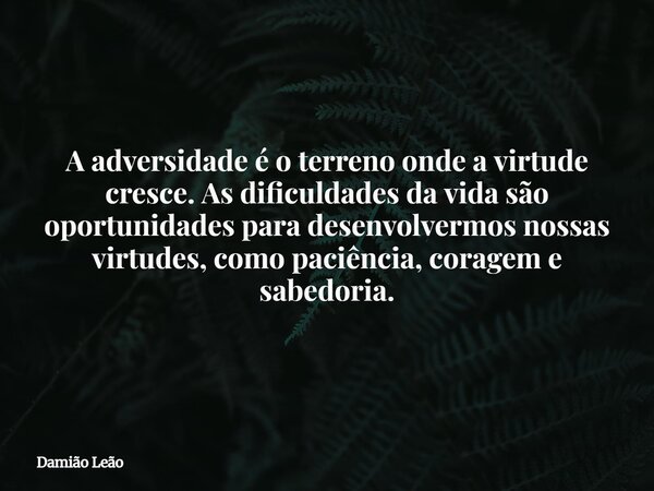 A adversidade é o terreno onde a virtude cresce. As dificuldades da vida são oportunidades para desenvolvermos nossas virtudes, como paciência, coragem e sabedo... Frase de Damião Leão.