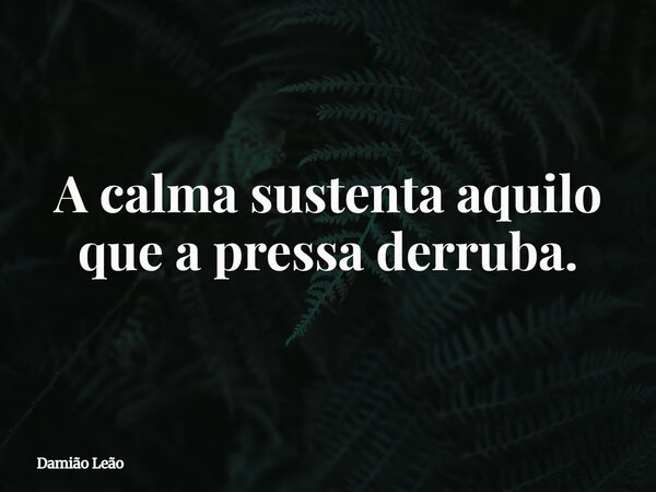 A calma sustenta aquilo que a pressa derruba.... Frase de Damião Leão.