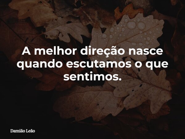 A melhor direção nasce quando escutamos o que sentimos.... Frase de Damião Leão.