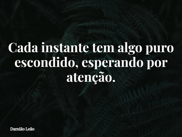 Cada instante tem algo puro escondido, esperando por atenção.... Frase de Damião Leão.