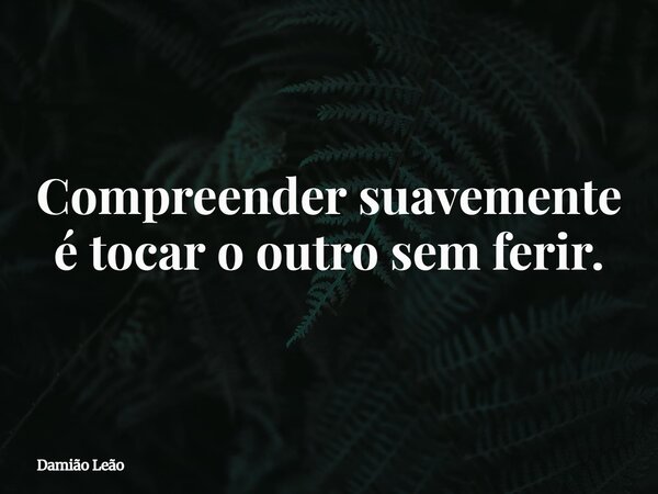 Compreender suavemente é tocar o outro sem ferir.... Frase de Damião Leão.