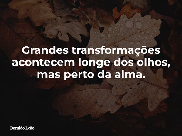 Grandes transformações acontecem longe dos olhos, mas perto da alma.... Frase de Damião Leão.