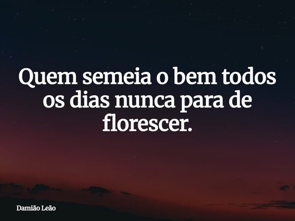 Quem semeia o bem todos os dias nunca para de florescer.... Frase de Damião Leão.