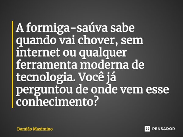 ⁠A formiga-saúva sabe quando vai chover, sem internet ou qualquer ferramenta moderna de tecnologia. Você já perguntou de onde vem esse conhecimento?... Frase de Damião Maximino.