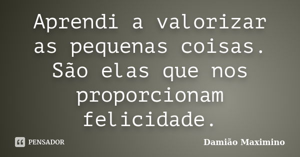 Aprendi a valorizar as pequenas coisas. São elas que nos proporcionam felicidade.... Frase de Damião Maximino.