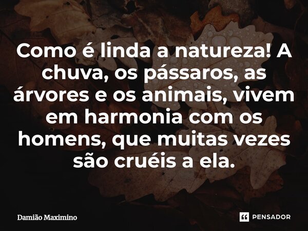 ⁠Como é linda a natureza! A chuva, os pássaros, as árvores e os animais, vivem em harmonia com os homens, que muitas vezes são cruéis a ela.... Frase de Damião Maximino.