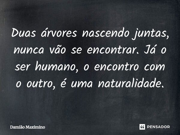 Duas árvores nascendo juntas, nunca vão se encontrar. Já o ser humano, o encontro com o outro, é uma naturalidade.... Frase de Damião Maximino.