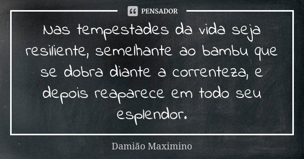 Nas tempestades da vida seja resiliente, semelhante ao bambu que se dobra diante a correnteza, e depois reaparece em todo seu esplendor.... Frase de Damião Maximino.