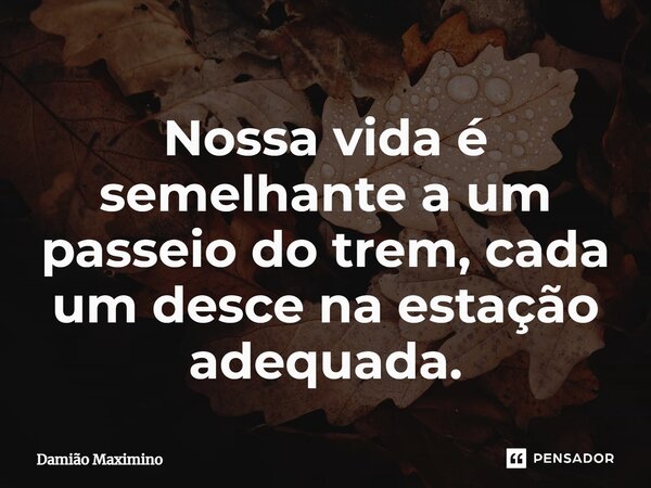 ⁠Nossa vida é semelhante a um passeio do trem, cada um desce na estação adequada.... Frase de Damião Maximino.