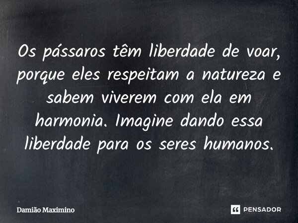 Os pássaros têm liberdade de voar, porque eles respeitam a natureza e sabem viverem com ela em harmonia. Imagine dando essa liberdade para os seres humanos.... Frase de Damião Maximino.
