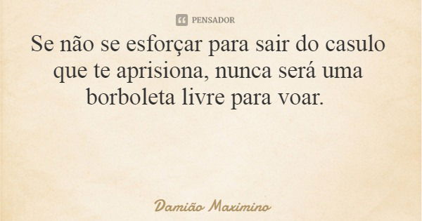 Se não se esforçar para sair do casulo que te aprisiona, nunca será uma borboleta livre para voar.... Frase de Damião Maximino.