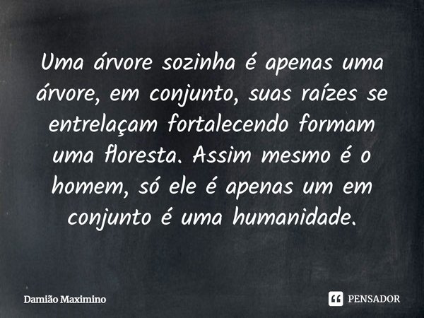 ⁠Uma árvore sozinha é apenas uma árvore, em conjunto, suas raízes se entrelaçam fortalecendo formam uma floresta. Assim mesmo é o homem, só ele é apenas um em c... Frase de Damião Maximino.
