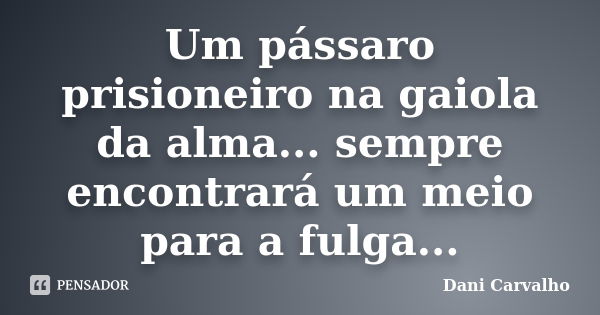 Um pássaro prisioneiro na gaiola da alma... sempre encontrará um meio para a fulga...... Frase de Dani Carvalho.